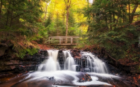 Forest Waterfall - forest, wooden, river, waterfall, bridge