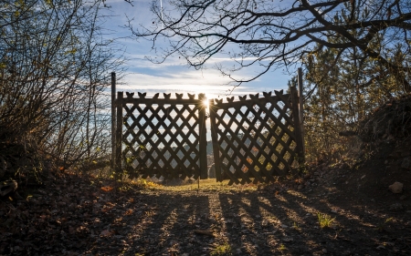 Gate to Sun - sunshine, gate, trees, shadow