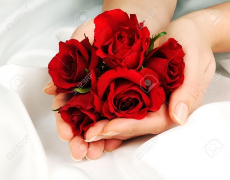 Specially for you - hands, love, rose, red