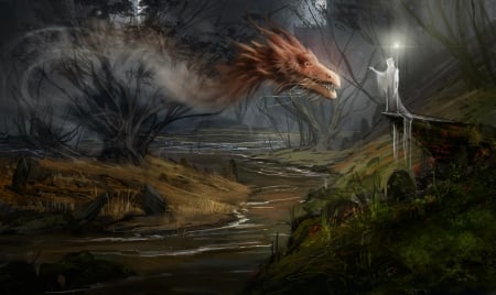 Summoned - fantasy, james child, wizard, dragon, art, luminos, summoner