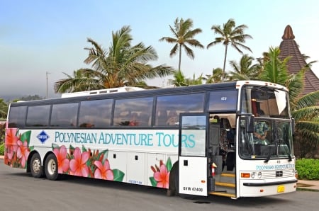 polynesian adventure tours hawaii - buidling, tour, bus, tree, hawaii