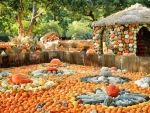 Pumpkin Village