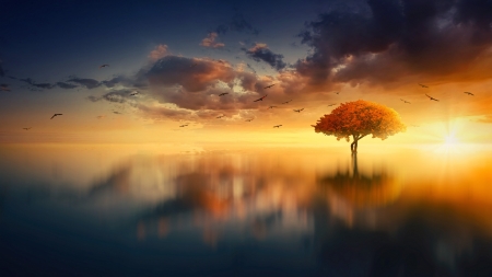 :-) - sky, water, fantasy, cloud, reflection, luminos, johannes plenio, orange, tree