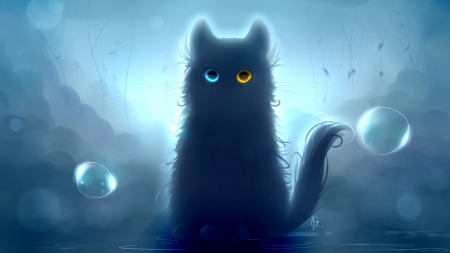 Cat - bubble, black, fantasy, sky neko, blue, pisici, luminos, cat