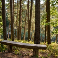 Park in Tervete, Latvia