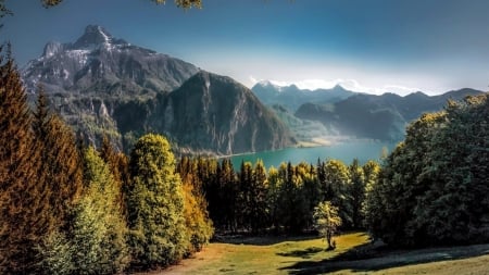 Mountain lake - lake, nature, mountain, tree