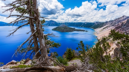 Crater Lake National Park - Mountains, Trees, Park, National, Crater, Lake