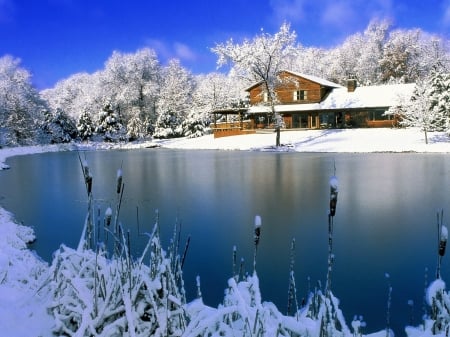 Winter Lake - ice, canes, lake, snow, house