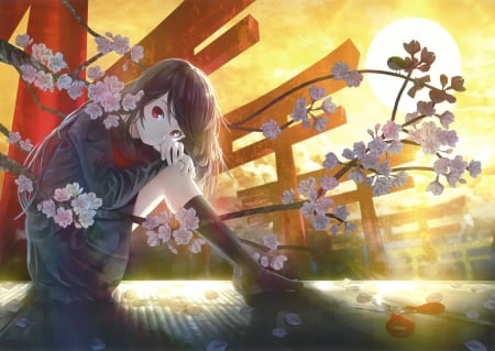 :-) - anime, cherry blossom, girl, tagme, flower, orange, manga, sunset, torii