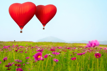 :-) - heart, cosmos, flower, pink, hot air balloon, red, green, valentine, field