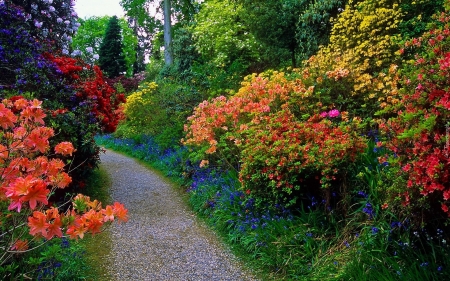 garden alley - nature, beauty, photography, flowers, garden