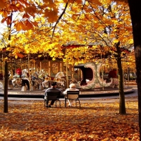 Autumn Love And Carousel 