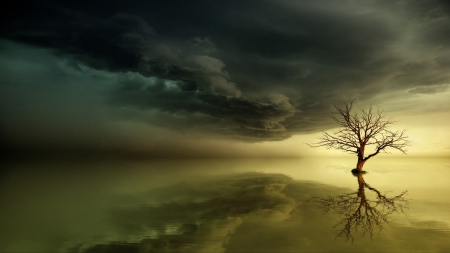 :-) - sky, silhouette, cloud, reflection, johannes plenio, water, tree, fantasy