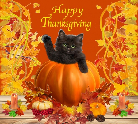 Thanksgiving kitty - cats, Thanksgiving, animals, painting