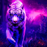 Tiger Wallpapers - Page 2 - Desktop Nexus