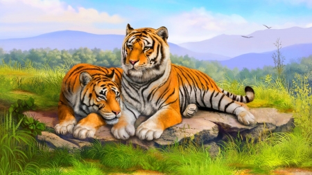 Tiger - deutschland, blau, tiger, wiese