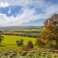 Beautiful Landscape in England