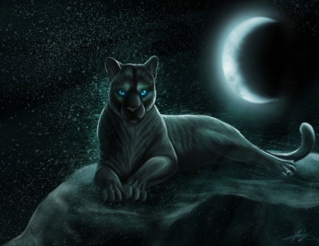 Panther - Schwarz, Blaueaugen, Mond, Deutschland