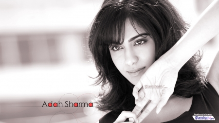 Adah Sharma 36 - wallpaper, adah sharma, people, celebrity