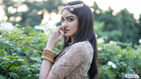 Adah Sharma 47 - wallpaper, adah sharma, people, celebrity