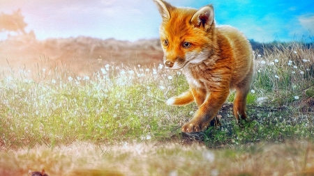 Fuchs