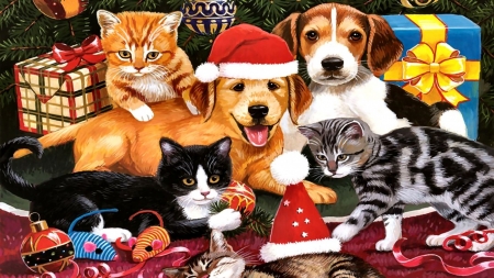 Merry Christmas - katzen, weihnachten, deutschland, hund