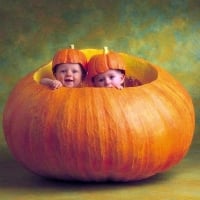 Twin Babies In Large Pumpkin