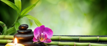 Spa background - leaves, stones, bamboo, flower