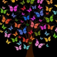 Butterfly tree