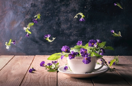 Flowers - purple, flowers, petals, cup