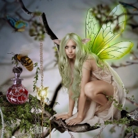 Fairie Jessica
