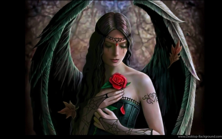 angel-wings-fantasy-girl-beautiful-rose-flower