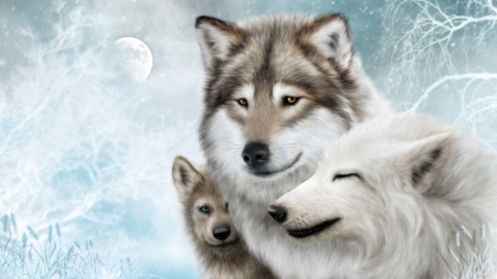 Wolf - wolf, mond, deutschland, familie