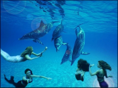 dolphins and mermaids - dolphin, girl, animal, mermaid