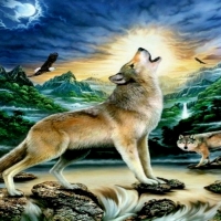 Wolf And Eagle Wild Animals