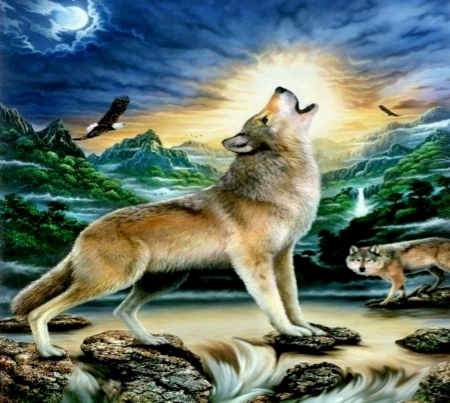 Wolf And Eagle Wild Animals