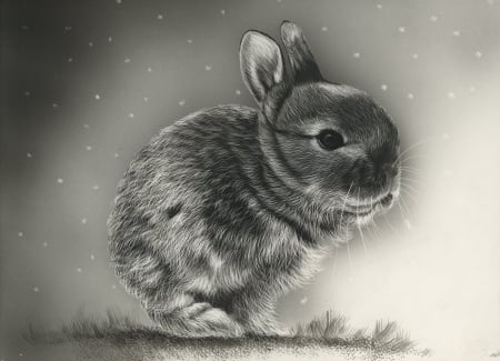 Bunny - draw, rabbit, art, bunny