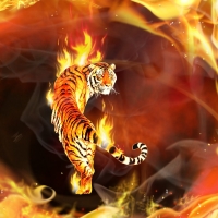 Fantasy Tiger Feuer