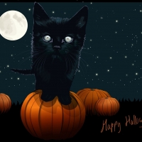 Halloween kitty
