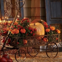 pumpkin carriage