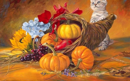 Thanksgiving kitten - kitten, painting, cats, Thanksgiving, animals