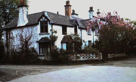 English Cottage - blossom, old house