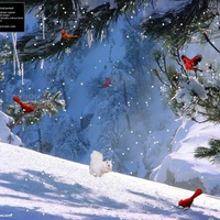 Winter Thaw Screensaver