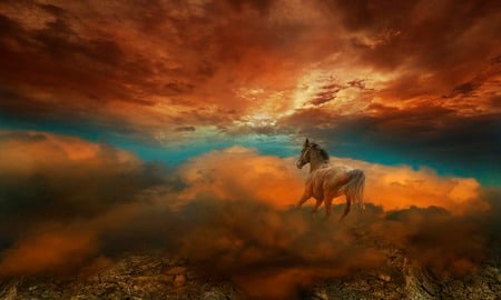 white horse - blue, freedom, orange, horse, sky