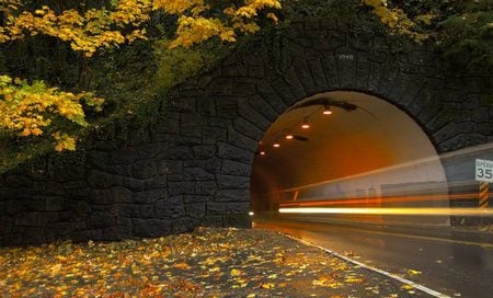 ray of light - tunnel, fall leafs, ray, light