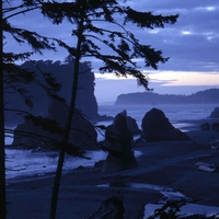 Ruby Beach Olympic, National-Park Washington