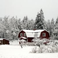 	Winter Landscape