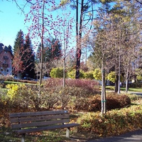 Asiago Plateau Fall