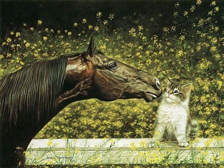 Dubious Friends - flowers, black, cute, stallion, sweet, cat, kitty