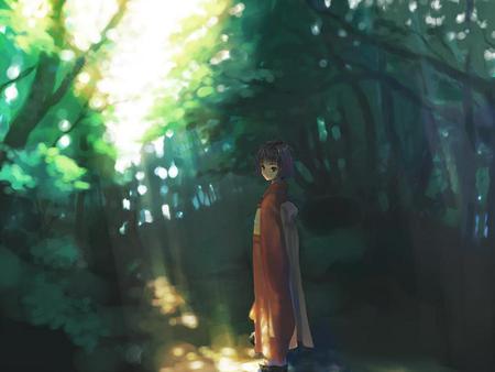 alone in the forest - anime, wallpaper, other